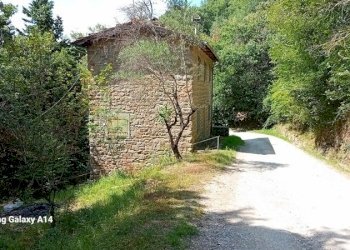 20230704_153051.jpg - Independent house via di Magnale, Pelago - photo 19