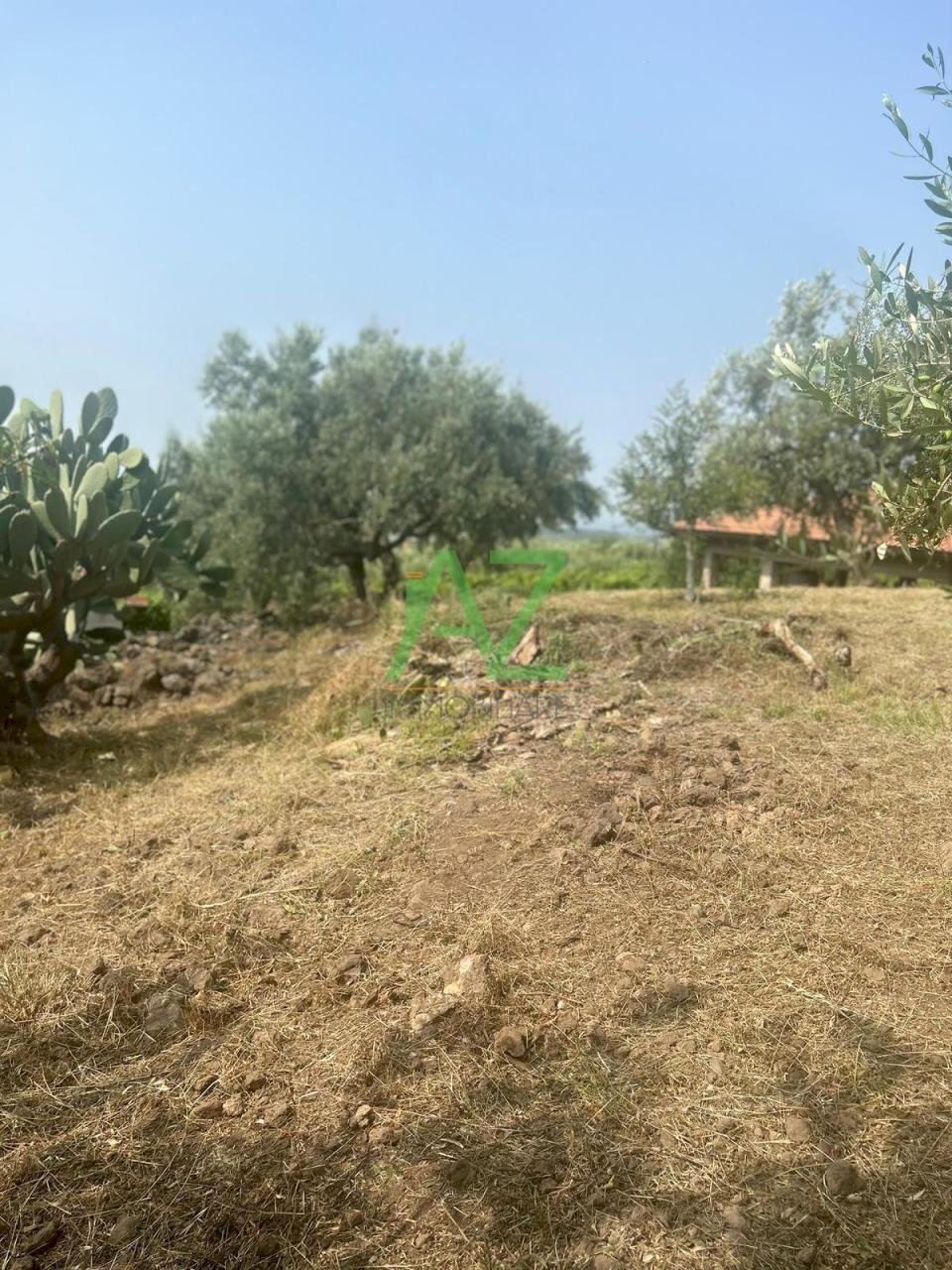 terreno - Terreno agricolo Belpasso - foto 2