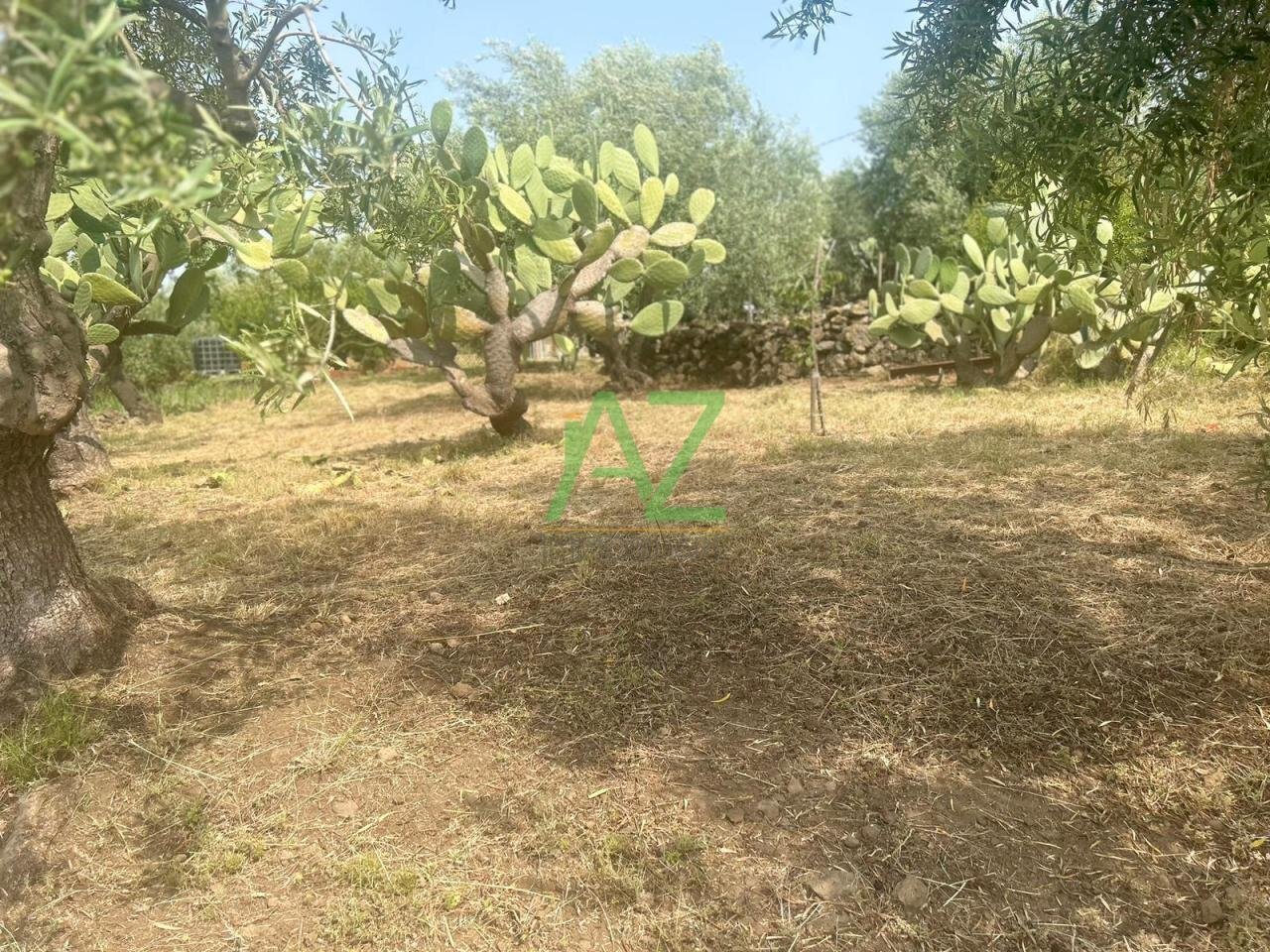 terreno - Terreno agricolo Belpasso - foto 3