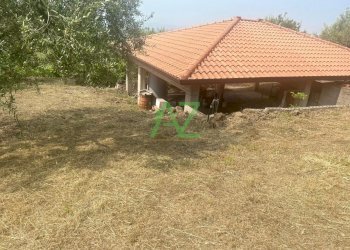 terreno con struttura cat. C2 - Terreno agricolo Belpasso - foto 1