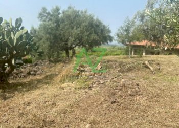 terreno - Terreno agricolo Belpasso - foto 2