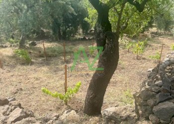 terreno - Terreno agricolo Belpasso - foto 4