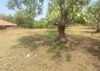 terreno - Terreno agricolo Belpasso - foto 8