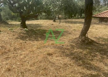 terreno - Terreno agricolo Belpasso - foto 10
