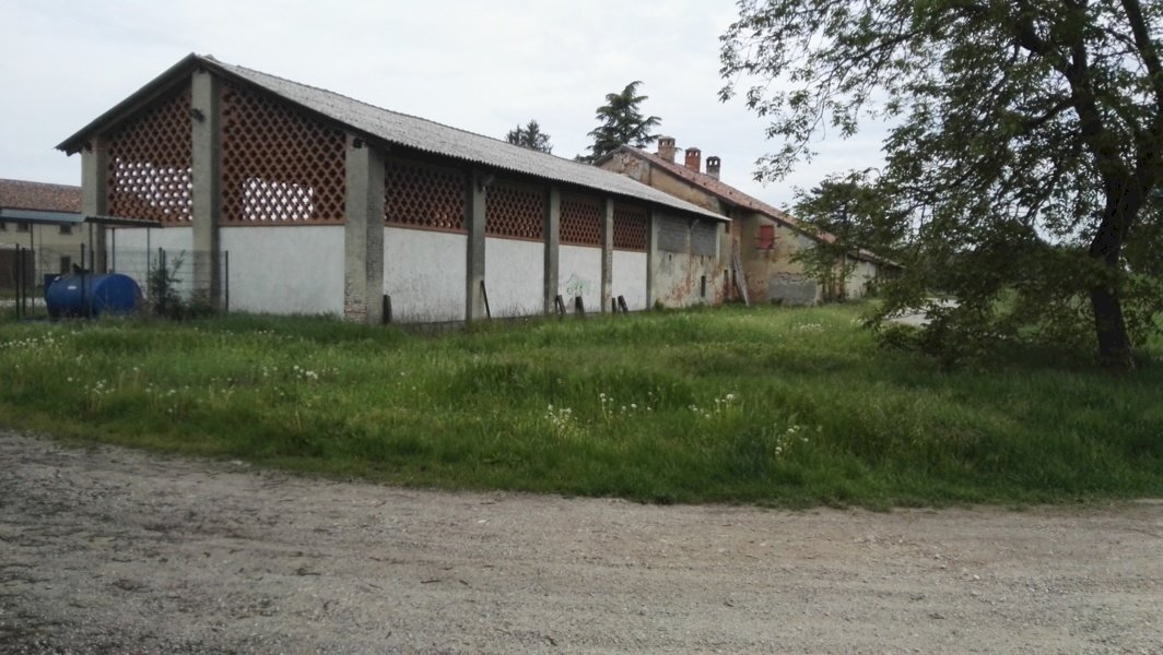 Casale Travacò Siccomario - foto 3