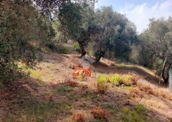 Villa Via Roggero Vittorio, Diano Marina - foto 31