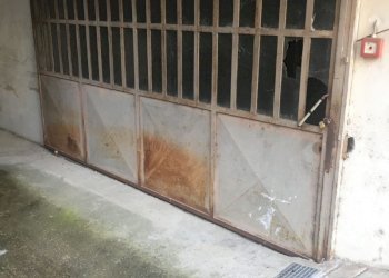 Box via Don Ferrero, Asti - foto 3