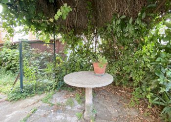 Villa Cuneo, Via Alessandro Volta, Cuneo - foto 35