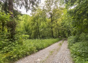 Esterna - Baita Borgata Tec, snc, Dronero - foto 21