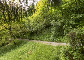 Esterna - Baita Borgata Tec, snc, Dronero - foto 23