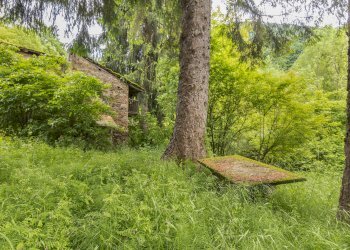 Esterna - Baita Borgata Tec, snc, Dronero - foto 27