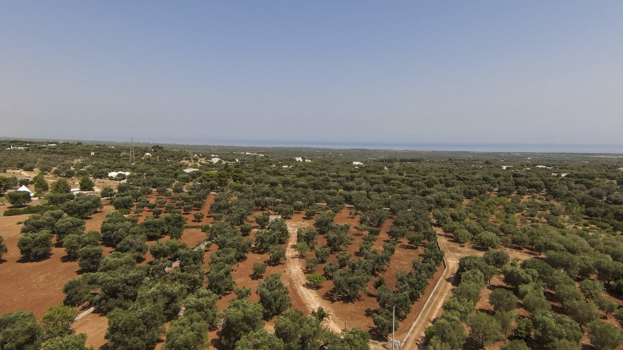 33.JPG - Independent house Contrada Catanzani 18, Carovigno - photo 1