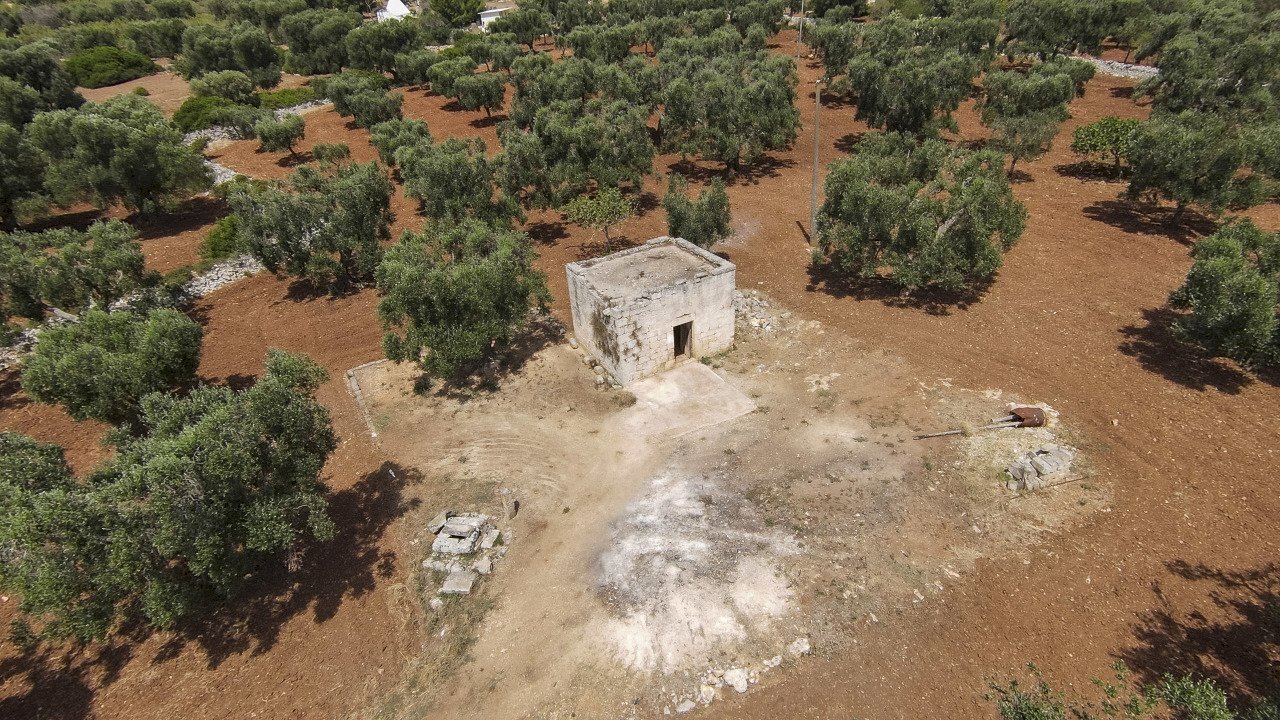 36.JPG - Independent house Contrada Catanzani 18, Carovigno - photo 2