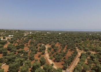 33.JPG - Casa indipendente Contrada Catanzani 18, Carovigno - foto 1