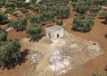 36.JPG - Casa indipendente Contrada Catanzani 18, Carovigno - foto 2