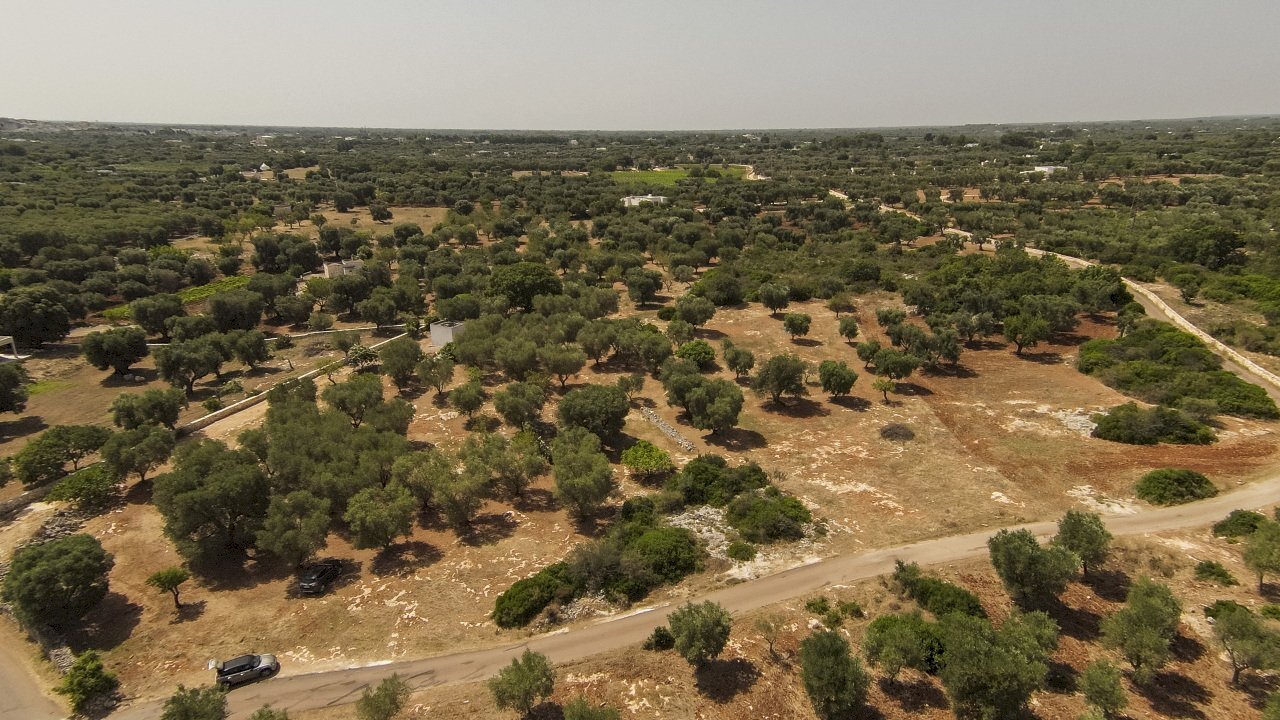 31.JPG - Terreno edificabile contrada acciano, Carovigno - foto 2