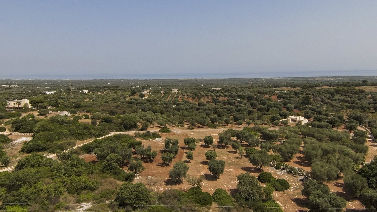 32.JPG - Terreno edificabile contrada acciano, Carovigno - foto 3