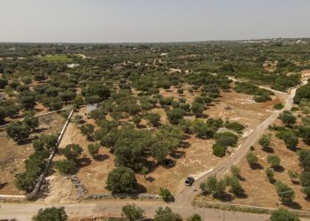 30.JPG - Terreno edificabile contrada acciano, Carovigno - foto 1