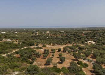 32.JPG - Terreno edificabile contrada acciano, Carovigno - foto 3