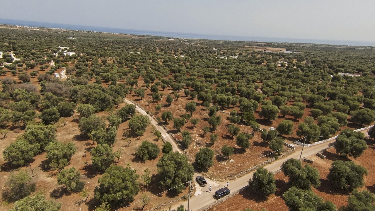 41.JPG - Terreno edificabile Contrada Specchia, Carovigno - foto 2