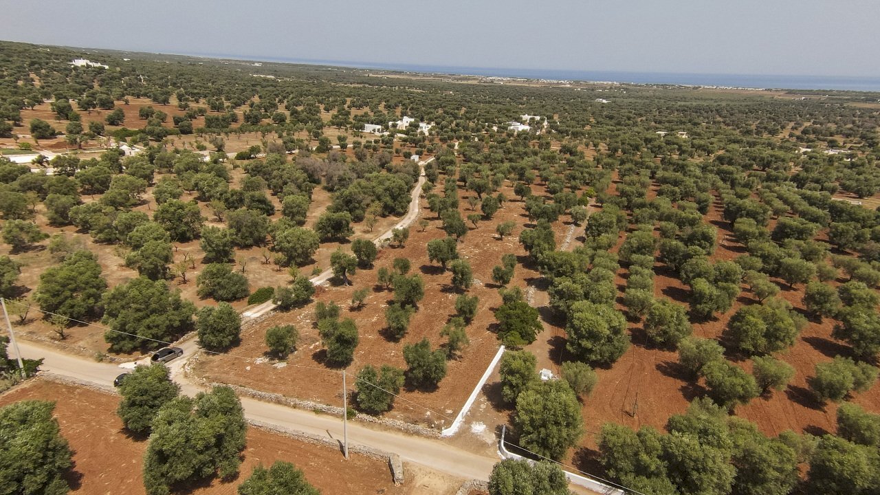 42.JPG - Terreno edificabile Contrada Specchia, Carovigno - foto 3