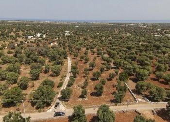 40.JPG - Terreno edificabile Contrada Specchia, Carovigno - foto 1