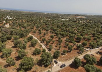 41.JPG - Terreno edificabile Contrada Specchia, Carovigno - foto 2