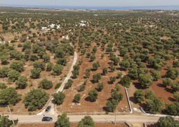 45.JPG - Terreno edificabile Contrada Specchia, Carovigno - foto 6