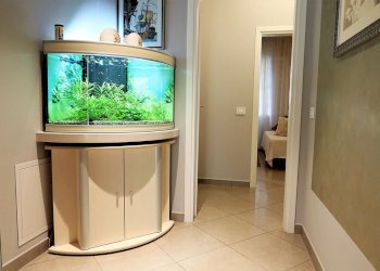 Appartamento Cervia - foto 16