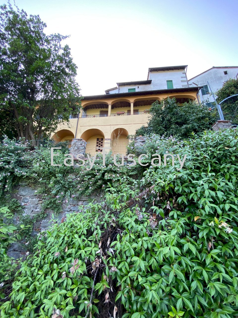 image00015.jpeg - Terratetto - Terracielo Villa Basilica - foto 2