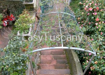 041.JPG - Terratetto - Terracielo Villa Basilica - foto 6