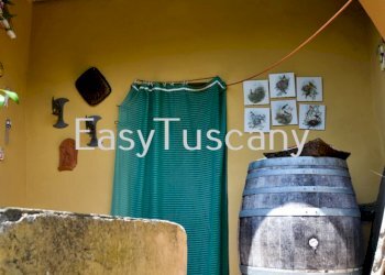 entrata di cantina.jpg - Terratetto - Terracielo Villa Basilica - foto 27