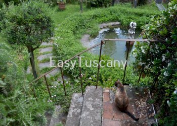 fontana.jpg - Terratetto - Terracielo Villa Basilica - foto 30