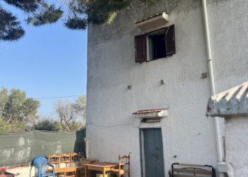 IMG_2015.jpg - Rustico Strada Provinciale 14 4, Ostuni - foto 2