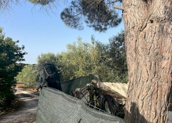 IMG_2014.jpg - Rustico Strada Provinciale 14 4, Ostuni - foto 6