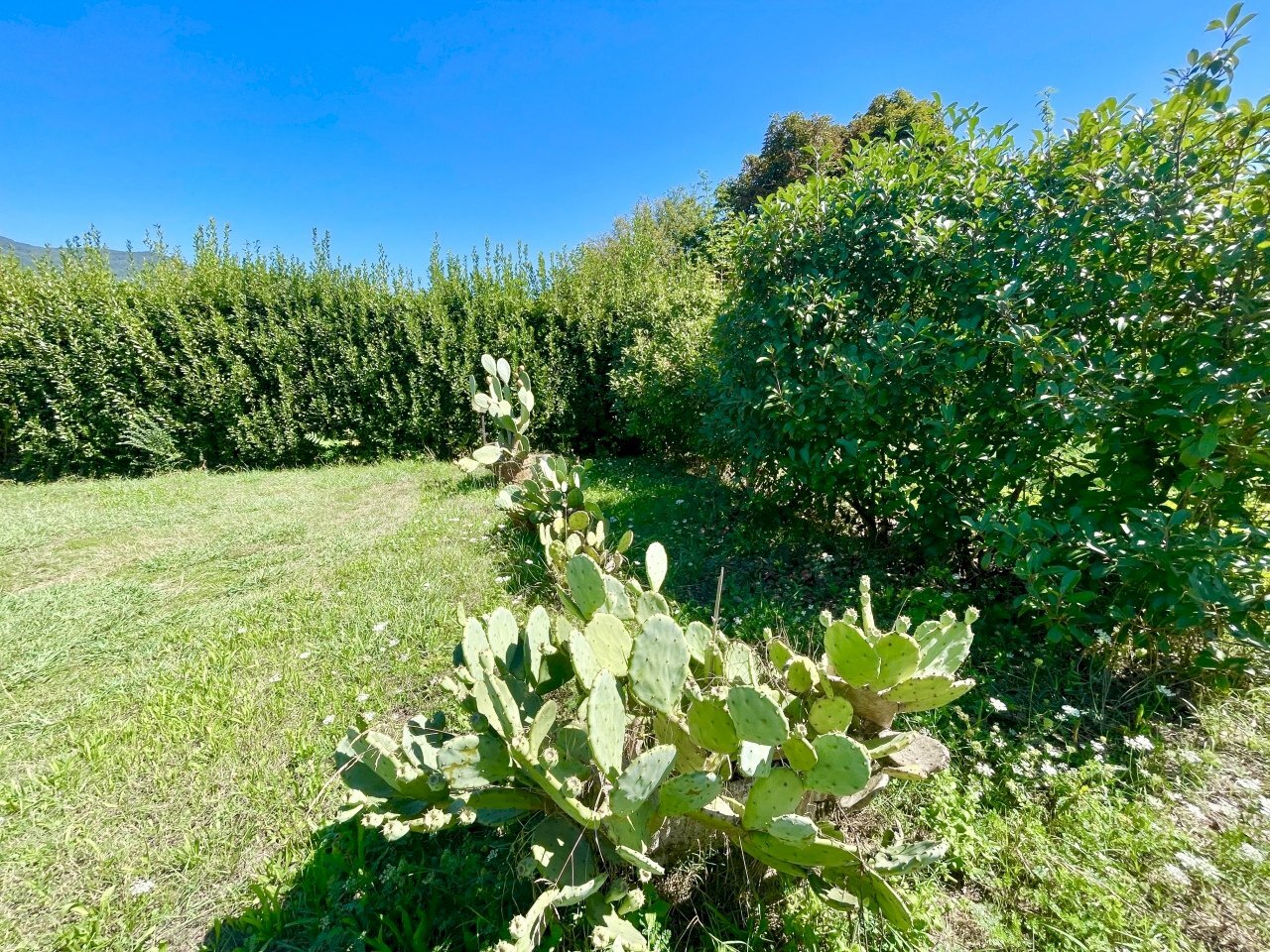 IMG_7815 2.JPG - Villa Pietrasanta - foto 2