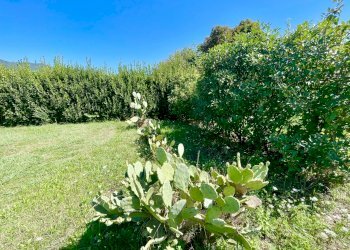 IMG_7815 2.JPG - Villa Pietrasanta - foto 2