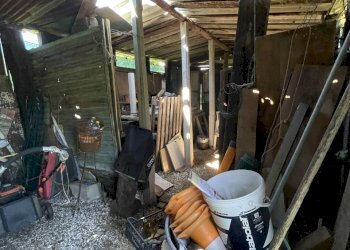 IMG_7835 2.JPG - Villa Pietrasanta - foto 23