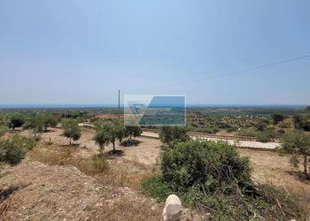 Terreno edificabile CONTRADA MAMMANELLI, Avola - foto 2