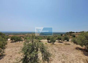 Terreno edificabile CONTRADA MAMMANELLI, Avola - foto 4