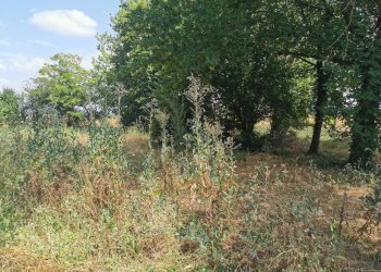 Casa Colonica Sant'Agata Bolognese - foto 12