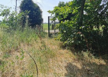 Casa Colonica Sant'Agata Bolognese - foto 13