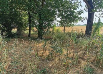 Casa Colonica Sant'Agata Bolognese - foto 14