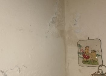 Casa Colonica Sant'Agata Bolognese - foto 9