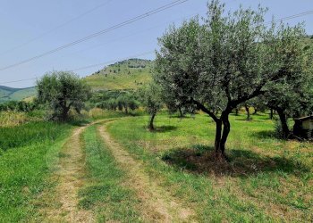 Rustic Via Dei Monti Lepini, Prossedi - photo 27