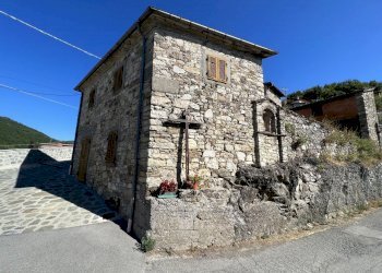 IMG_6642.JPG - Rustico Piazza al Serchio - foto 2