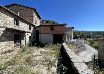 IMG_6656.JPG - Rustico Piazza al Serchio - foto 14