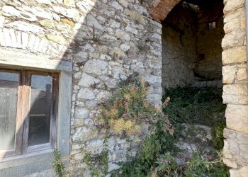 IMG_6663.JPG - Rustico Piazza al Serchio - foto 15