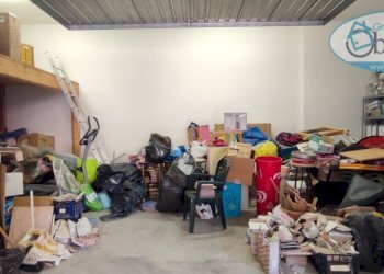 Box via roma, Manziana - foto 8