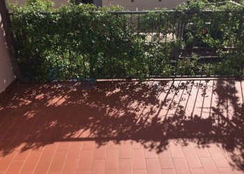 Villa Unifamiliare via giovanni pascoli, Capraia Isola - foto 24